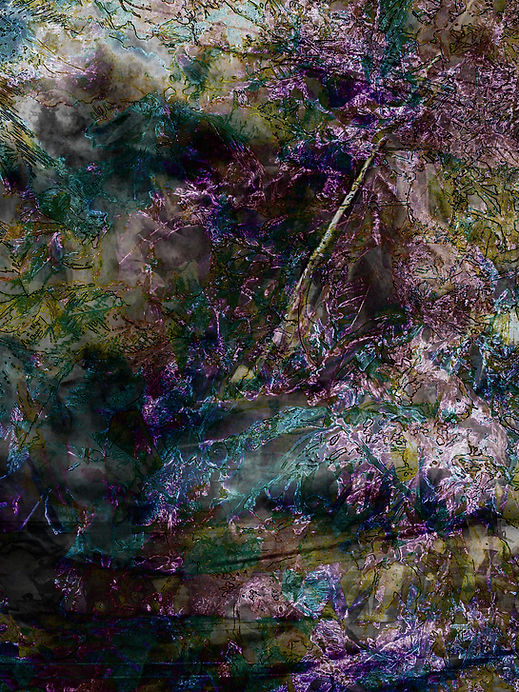 79.jpg
