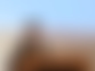 IGF2023 in Kyoto 高校生とともにIGFに参加しました