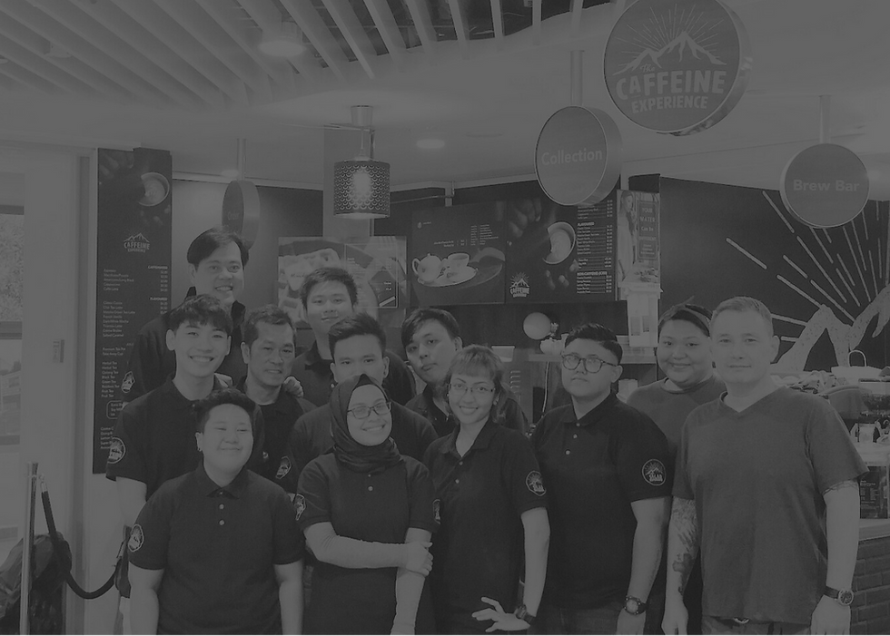 TCE website draft 2.png