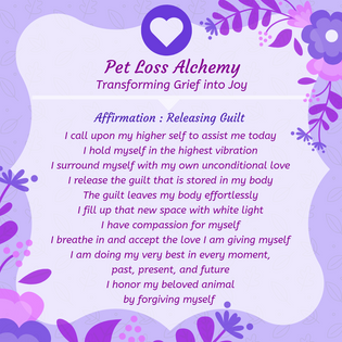 Daily Affirmation : Guilt Release 02
