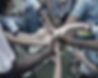 _I9A6765_edited.jpg