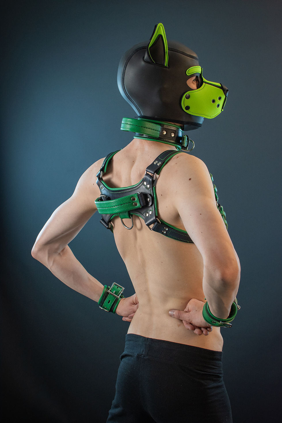 Thumbnail: Premade handle harness