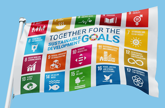 SDG-Flag.png