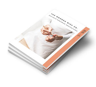 DISTRIUTOR-CATALOG-MOCKUP_edited.jpg