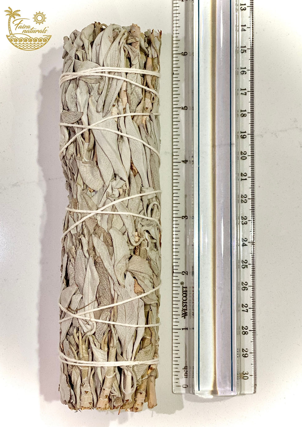 Thumbnail: California White Sage