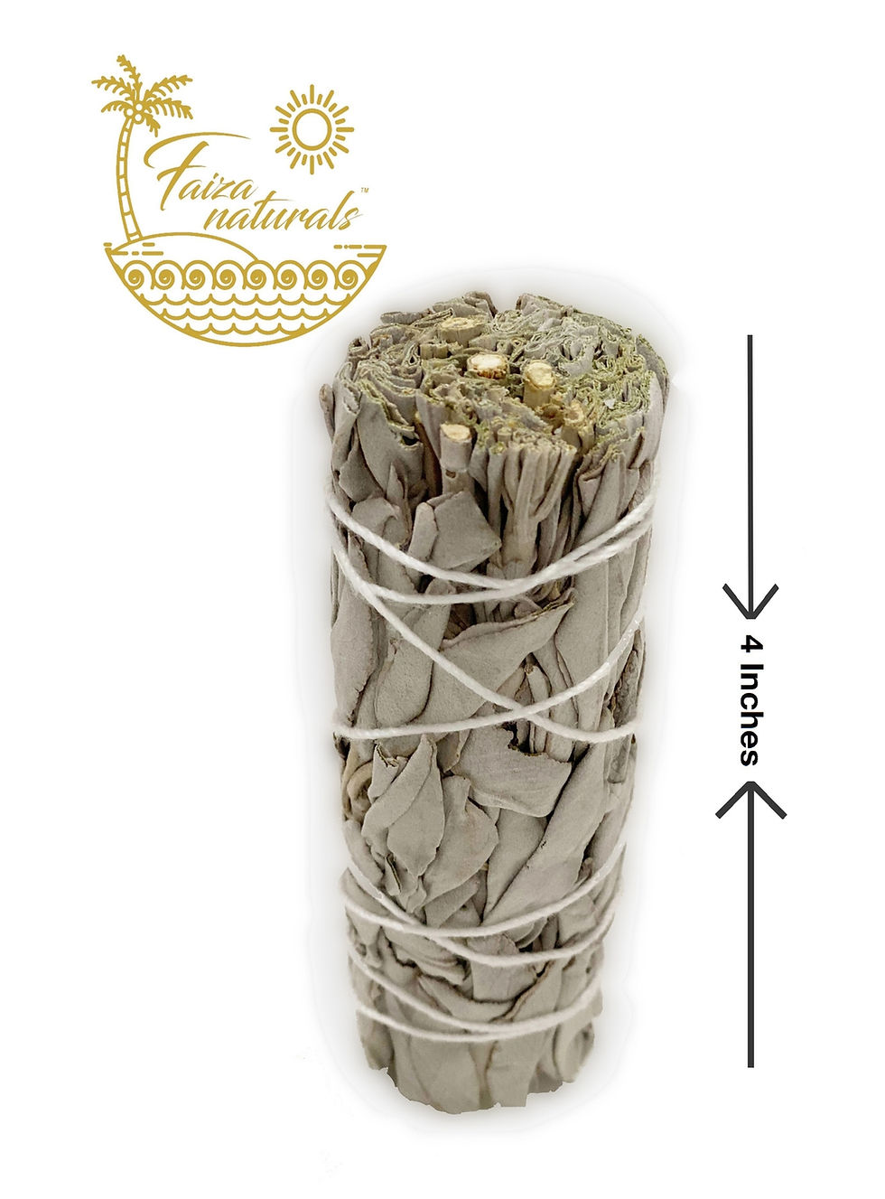 Thumbnail: California White Sage
