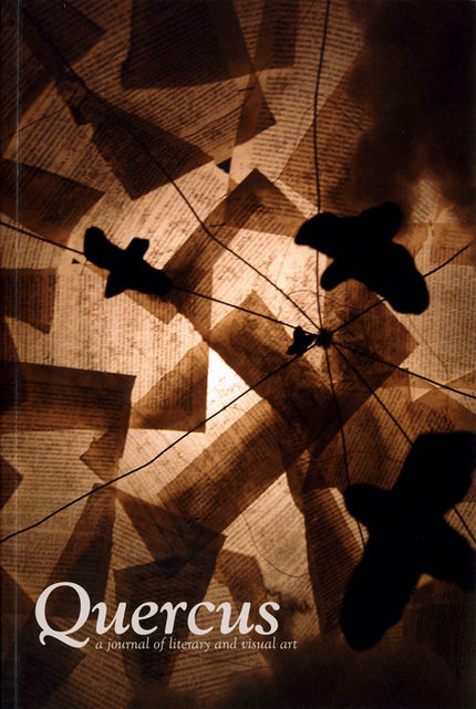 Quercus_Volume-17.jpg