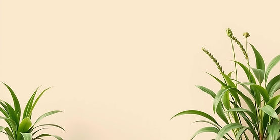 landscape image of light beige gradient background with green plants in left and right c