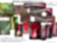 Etlingera sessilanthera