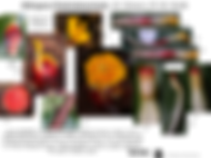 Etlingera fimbriobracteata