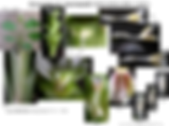 Curcuma harmandii aff