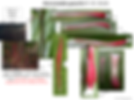 Hornstedtia gracilis