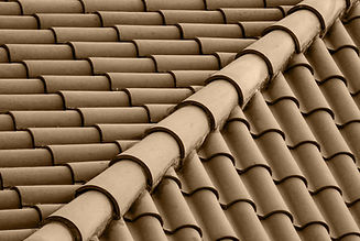 Brown Roof