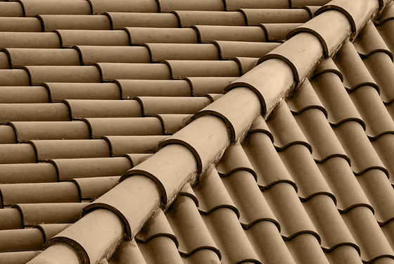 Brown Roof