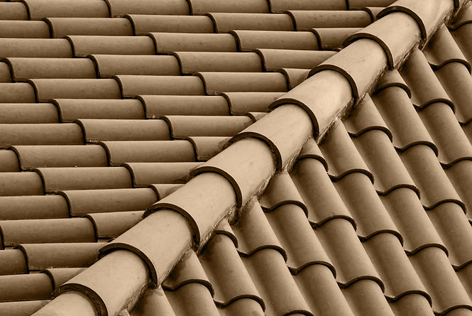 Brown Roof