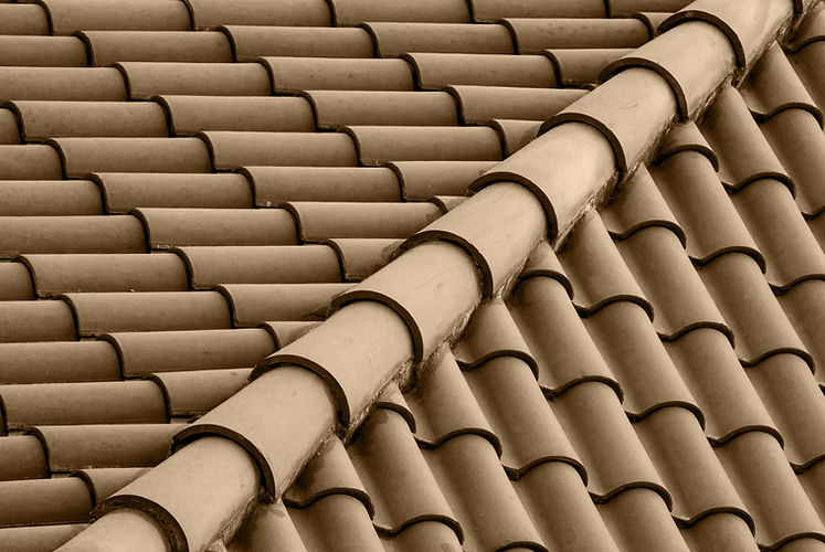 Brown Roof