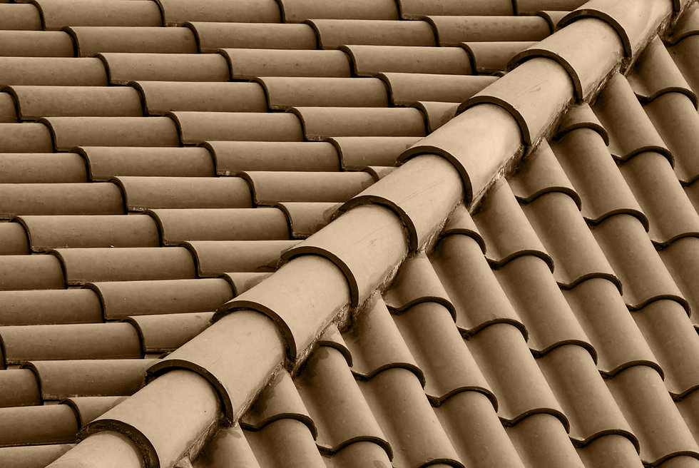 Brown Roof