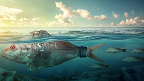 Trabajemos por un verano sin plástico