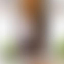 How to Prepare for your Business Portrait