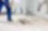 images (20).jpeg