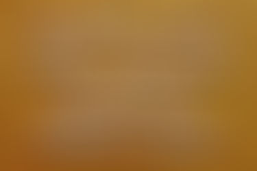 Can Science Make You Happy?