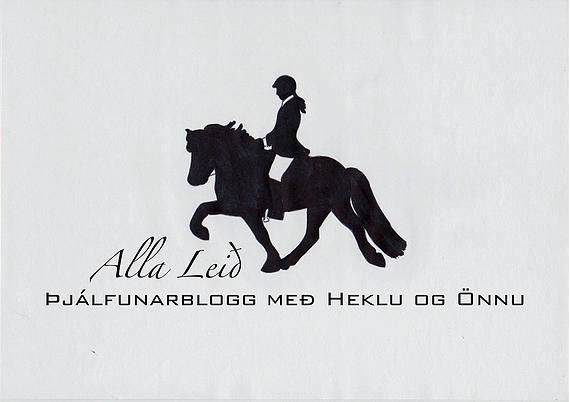 Anna og Hekla
