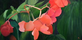 redflower2.jpeg