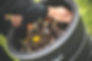IMG_7043-scaled.jpeg