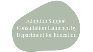 Adoption Support Consultation Launched as Government Sets Out Plans for Post-2028 Reform