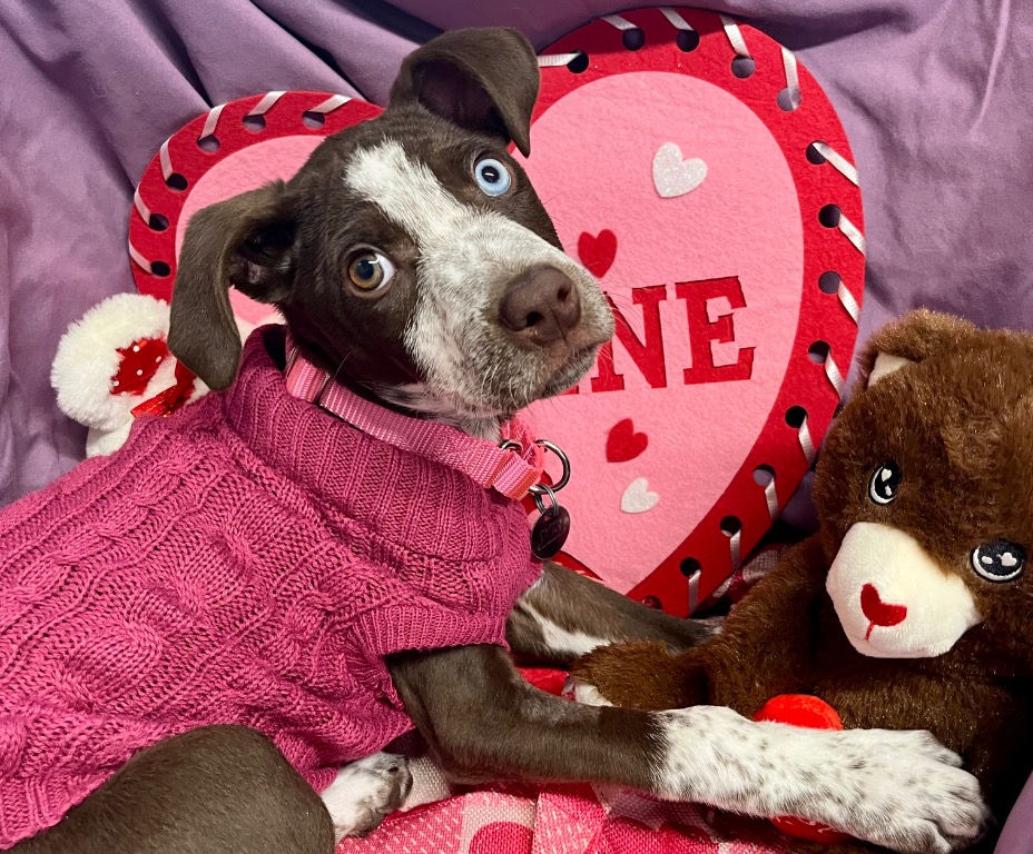 Eden (female, 4 months)