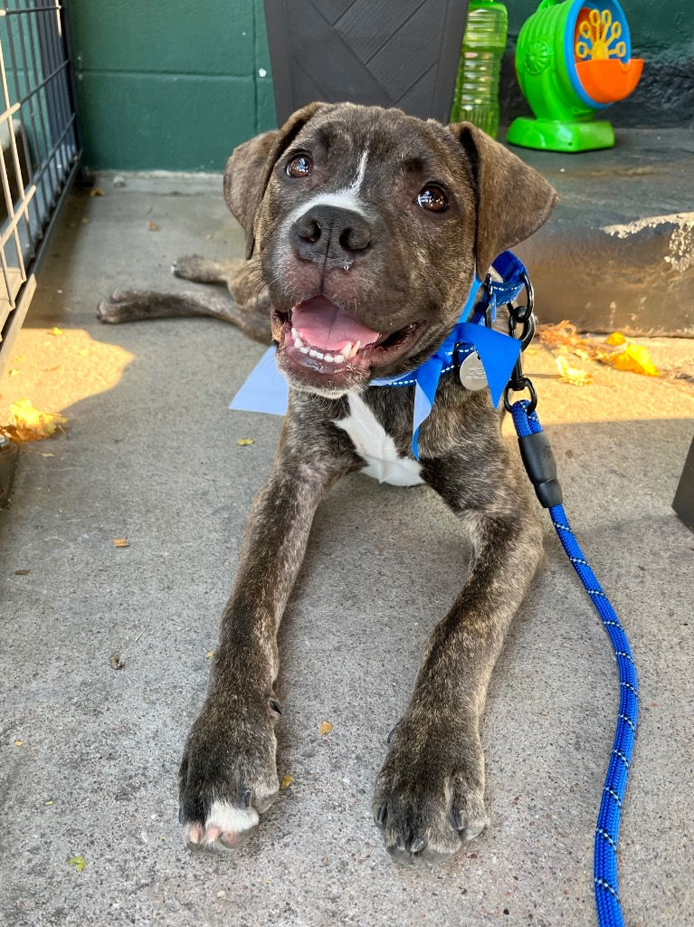 Phillip (male, 6 months)