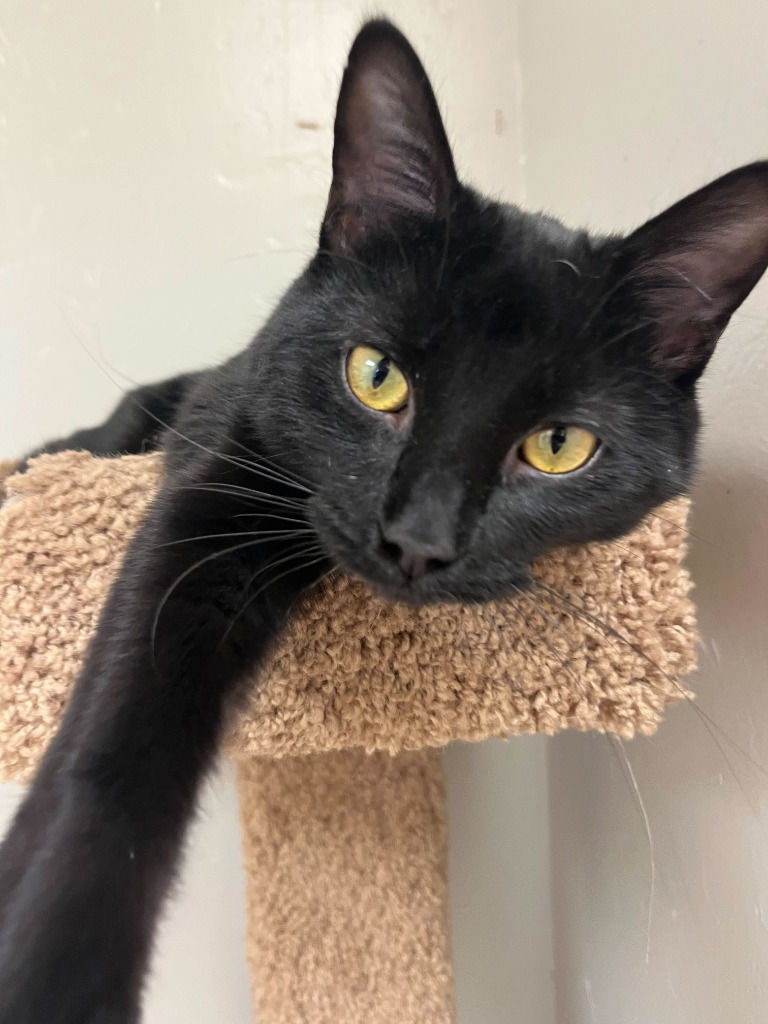 Luther (male, 10 months)