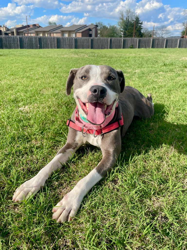 Tessa (female, 1 year)