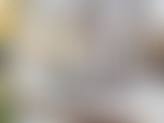 Guide to Licensing Your Mobile Bar