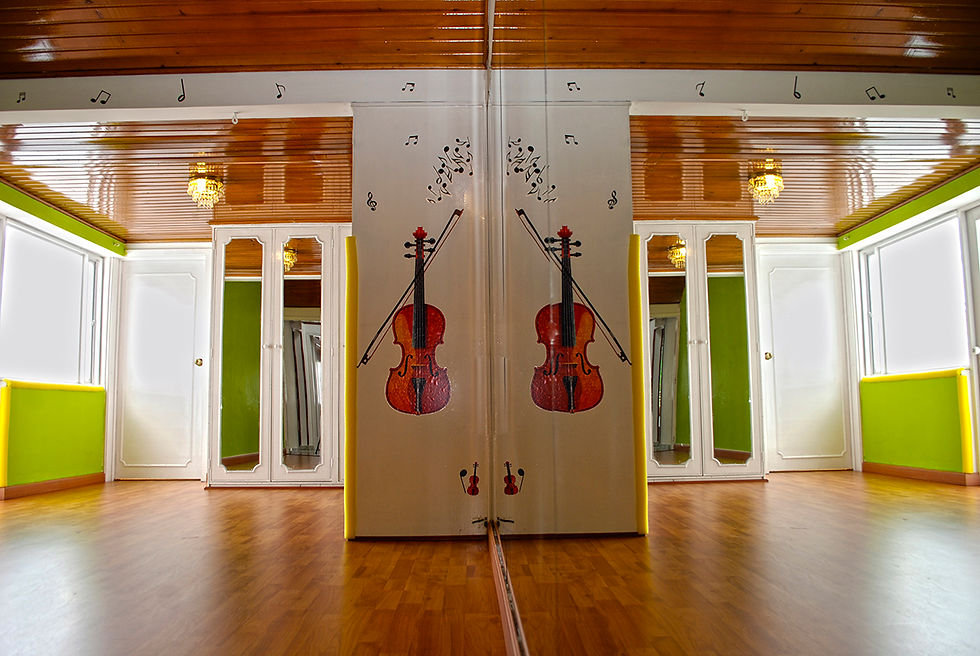 SALON ARTES Y MUSICA