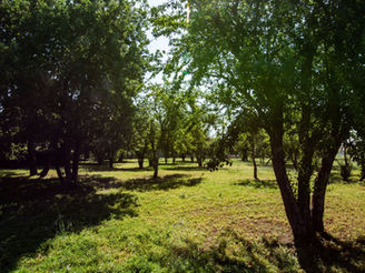 Fermeture des parcs et des lacs - Tempête Nils