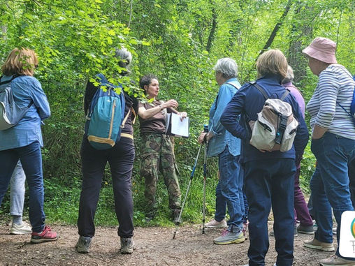 Sortie marche pour les plus de 60 ans