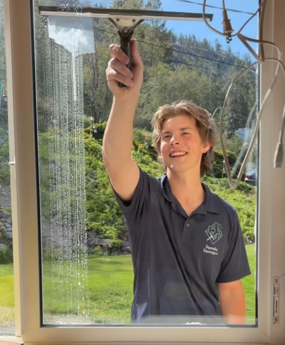 Window cleaner with squeegee