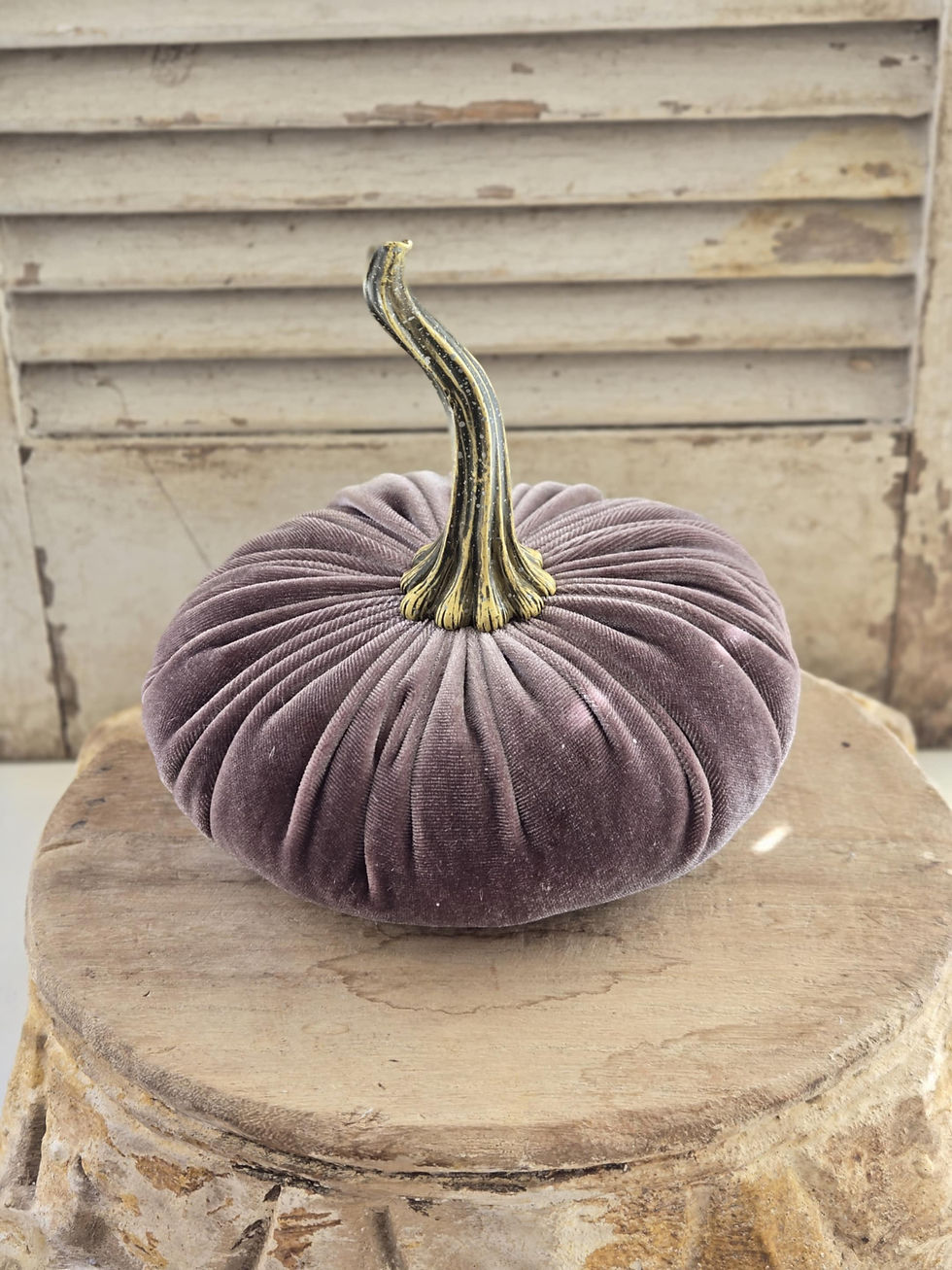 Thumbnail: Large Velvet Pumpkins