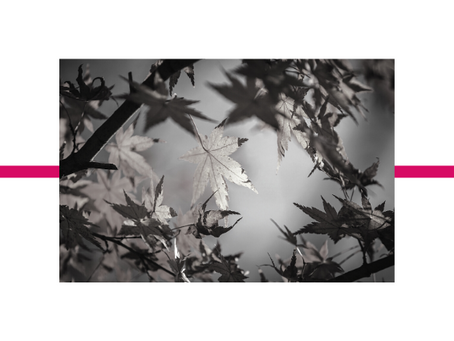 What can we learn from Autumn/Fall?