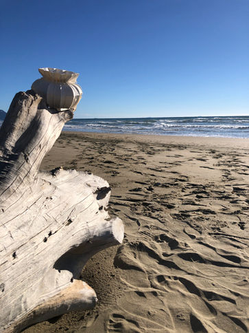 _202202259'1'2' 001.JPG