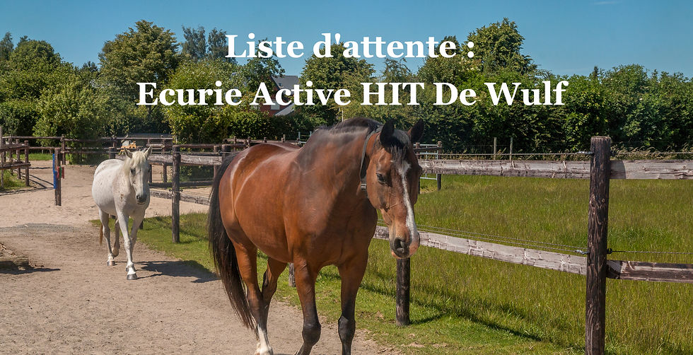 2024 (1082) Dewulf Chevaux_edited.jpg