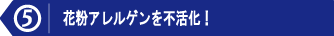 理由5.gif