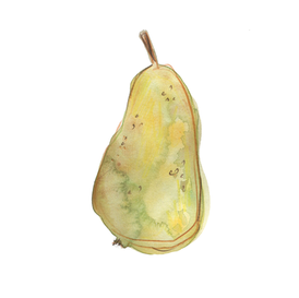 pear-watercolour-sketchbook-illustration-sarah-dowling-bristol-food-illustrator.png
