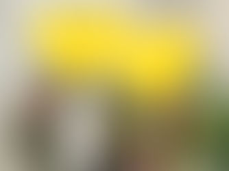 【成婚レポート】30代専門職女性が2年の婚活を経て成婚退会!