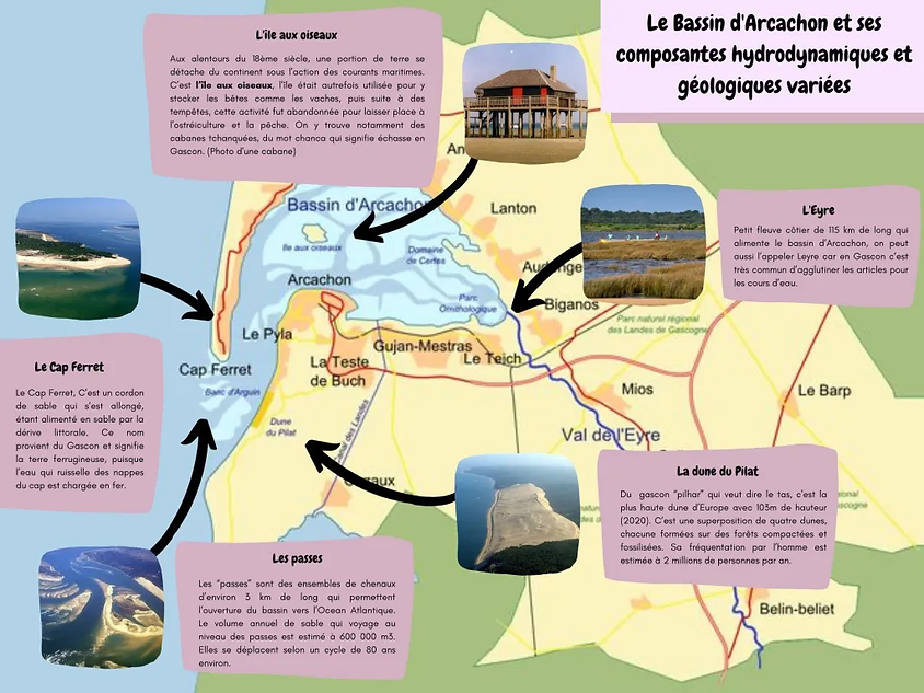bassin 5.webp
