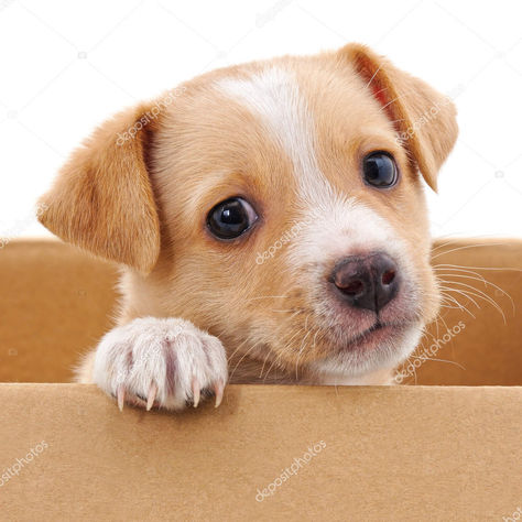 The Importance of Sustainable Packaging