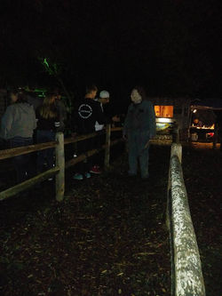 22221755_10212606900505726_3629092569170423494_n