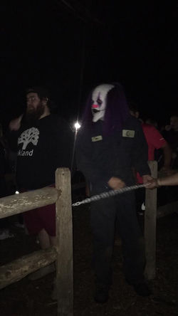 22554962_1742892285753486_5526313363095397547_n