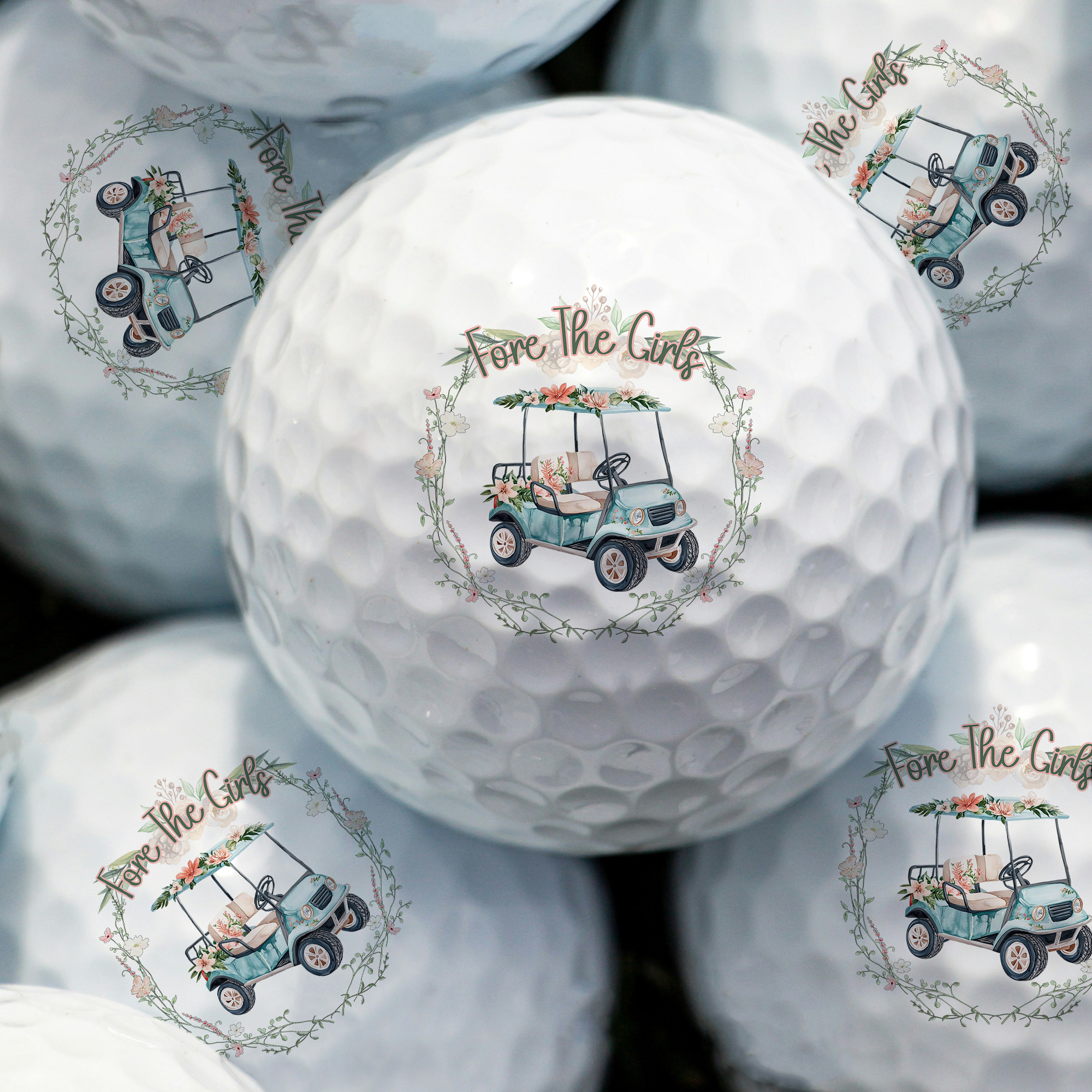 6 pc Golf Ball Gift Set